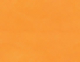 愛(ài)馬仕橙飾面板